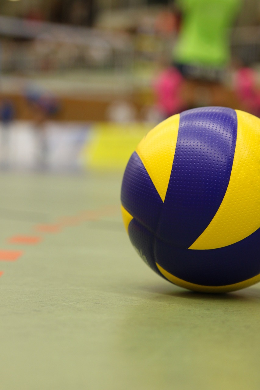 volleyball, ball, player, team, sport, competition, ball sports, fans, hall, play, championship, playing field, volleyball, volleyball, volleyball, volleyball, volleyball